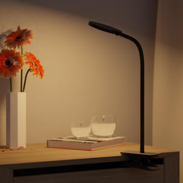 Desk lamp with clamp