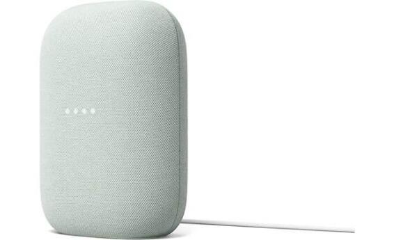 Smart speaker NEST AUDIO GOOGLE SAGE
