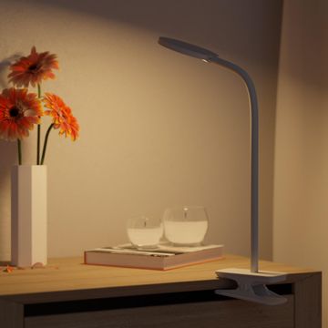 Desk lamp with clamp