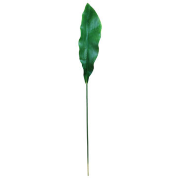 GINGER LILY STEM LARGE