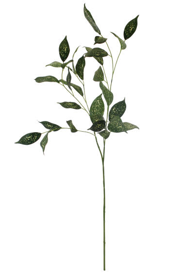 FLORIDA BEAUTY STEM 96CM GREEN