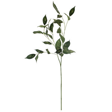 FLORIDA BEAUTY STEM 96CM GREEN