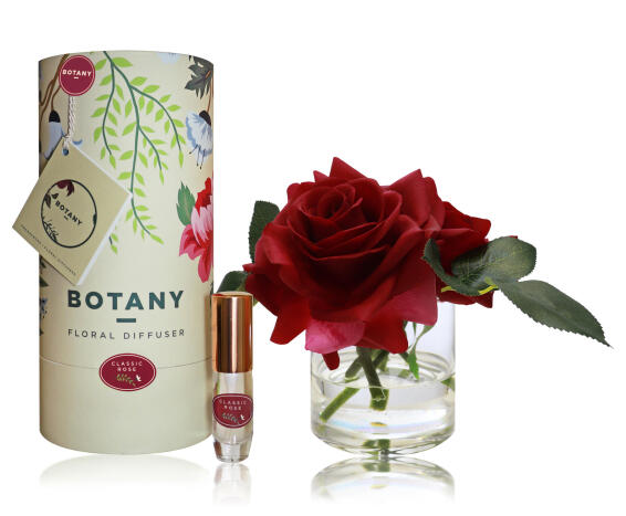 BOTANY 3 ROSE BT-CLASSIC ROSE YEL BOX