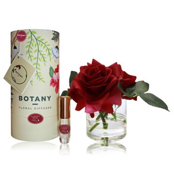 BOTANY 3 ROSE BT-CLASSIC ROSE YEL BOX