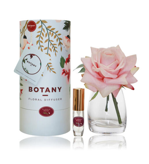 BOTANY 1 ROSE PK CLASSIC ROSE BLUE BOX