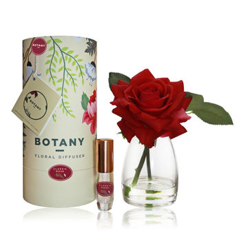 BOT 1 RSE BEAUTY CLASSIC ROSE YEL BOX