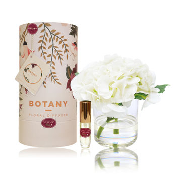 BOTANY 1 HYDRANGEA WH-SIGN