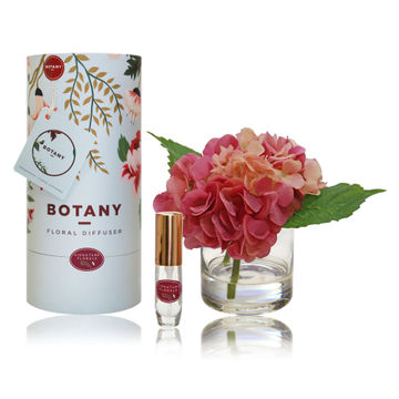 BOT 1 HYDRANGEA DKPK-SIGN FLOR BLU BOX