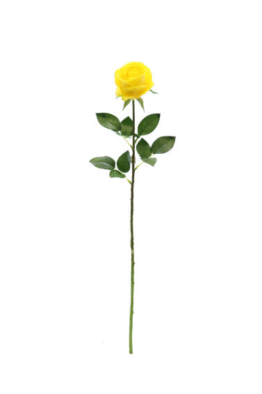ROSE STEM 68CM YELLOW