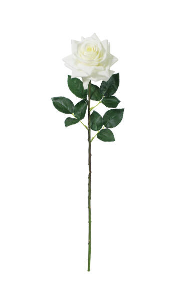 ROSE STEM 68CM WHITE