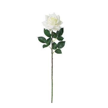 ROSE STEM 68CM WHITE