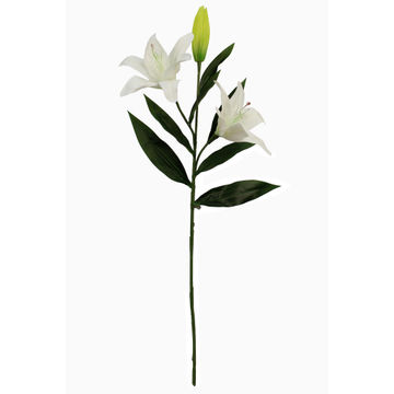 LILY TIGER SPRAY 25 WHITE