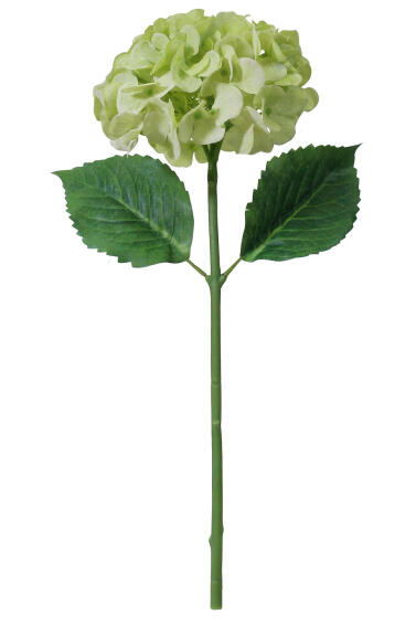 HYDRANGEA SPRAY GREEN 18.5