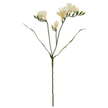 Freesia Cream 25cm