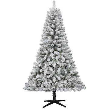 SNOWY NORWAY SPRUCE 180CM