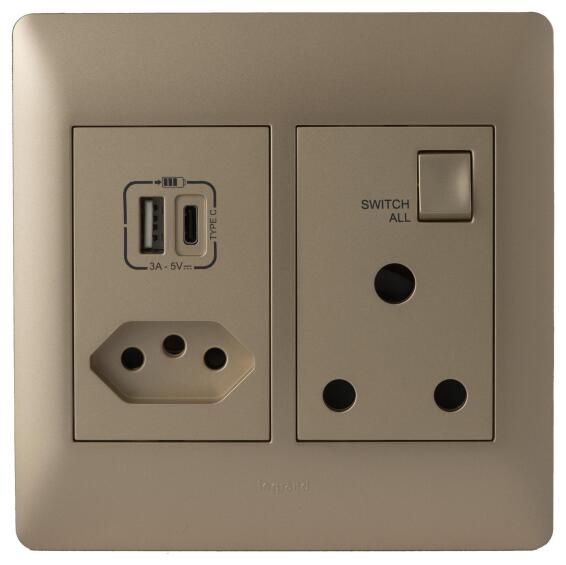 Mono Socket New USB A+C 4x4 YSALIS Champagne