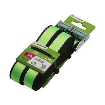 Straps with cambuckle Standers 25mmx275cm 200kg 2 piece
