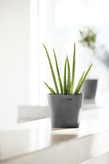 ECOPOT AMSTERDAM 17 GREY