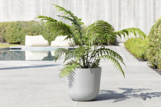 ECOPOT OSLO 25 WHITE GREY