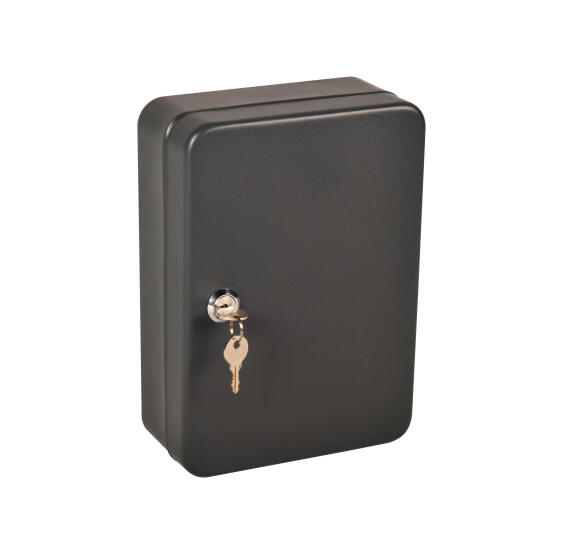 KEY CABINET FOR 44 KEYS 250X180X80MM
