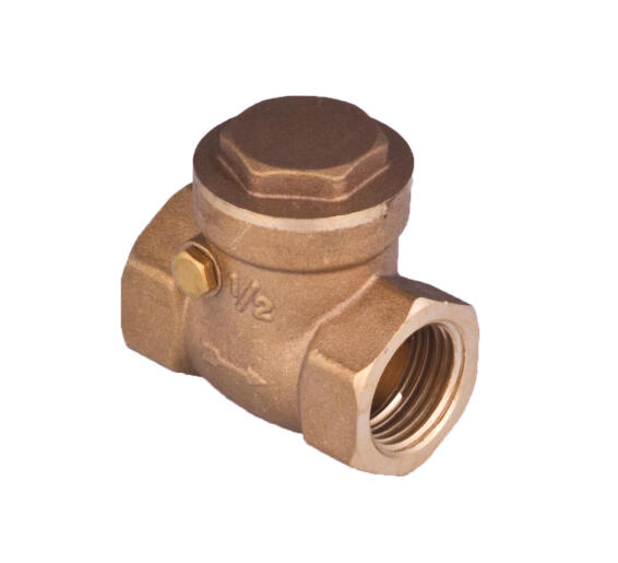 Non return valve check valve swing type 25mm female thread