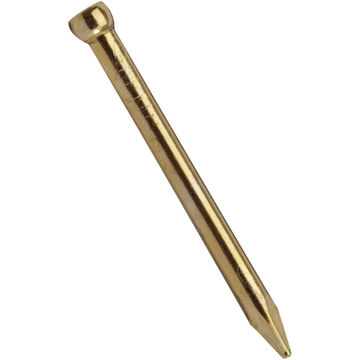 Lost head nail brass plated 1.5x20mm 175pc standers