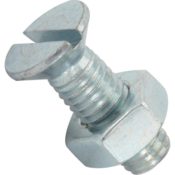Machine screws and nuts countersunk head zink plated 10.0x30mm 2pc standers
