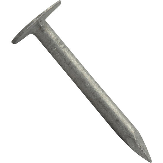 Large head nail plain 3.0x30mm 160pc box standers
