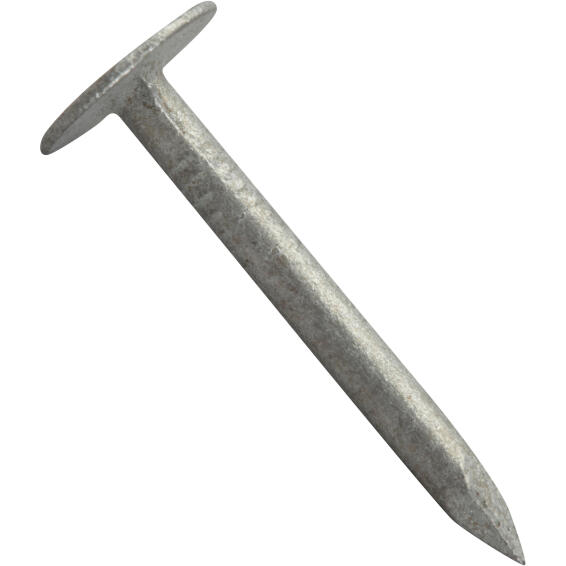 Large head nail plain 3.0x20mm 300pc box standers