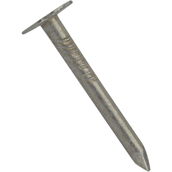 Large head nail plain 3.0x40mm 20pc standers