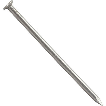 Large head nail plain 4.9x110mm 50pc box standers