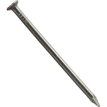 Large head nail plain 3.1x70mm 195pc box standers