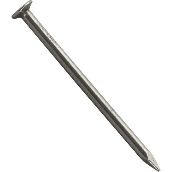 Large head nail plain 3.0x55mm 270pc box standers