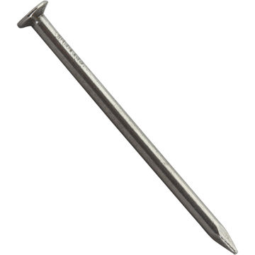 Large head nail plain 3.0x55mm 270pc box standers