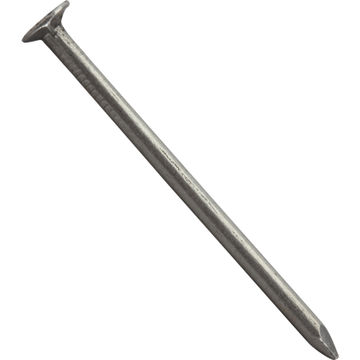 Large head nail plain 2.2x40mm 600pc box standers