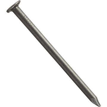 Large head nail plain 2.0x35mm 650pc box standers