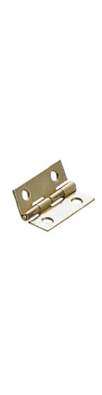 Casket hinge brass-plated hettich