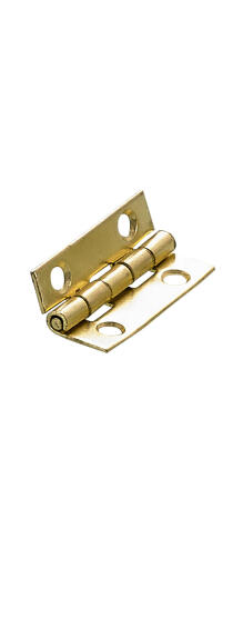 Casket hinge brass-plated hettich