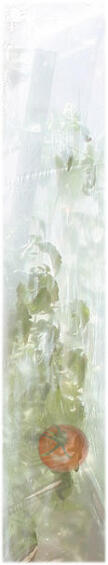 Greenhouse, Film Only, NORTENE, 3mx3.5m, Vegetable Tunnel Film, UV Treated