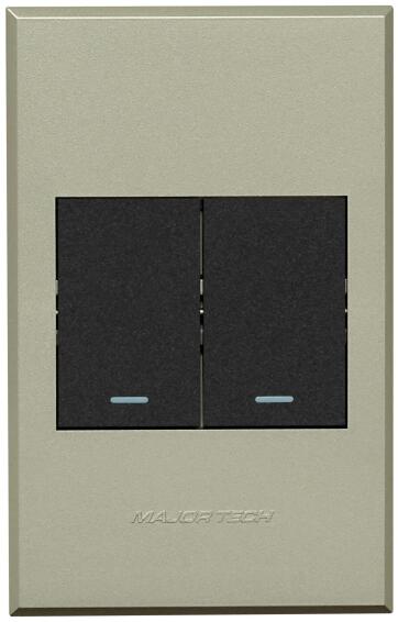 SWITCH 2L2W VETI3 2X4 GR/TI