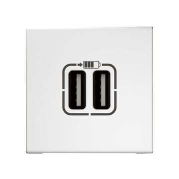 Module LEGRAND 2 USB ports 2400mA white