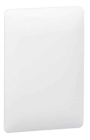 Blank cover Ysalis LEGRAND 2x4 white