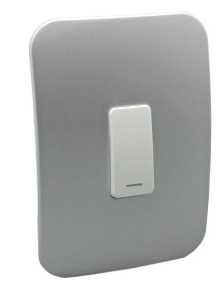 Switch VETI 1 1 lever 1 way 2x4 silver