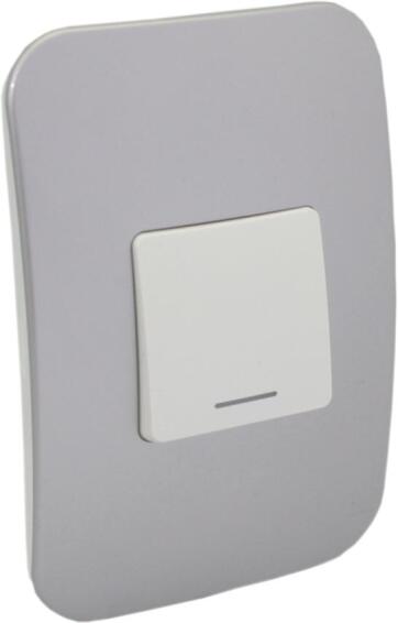 Switch VETI 1 1 lever 1 way 2x4 silver