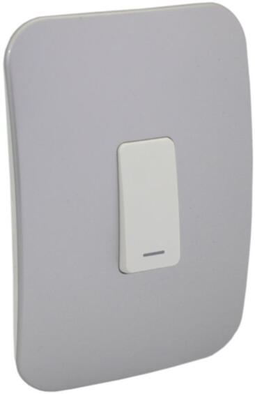 Switch VETI 1 1 lever 1 way 2x4 silver