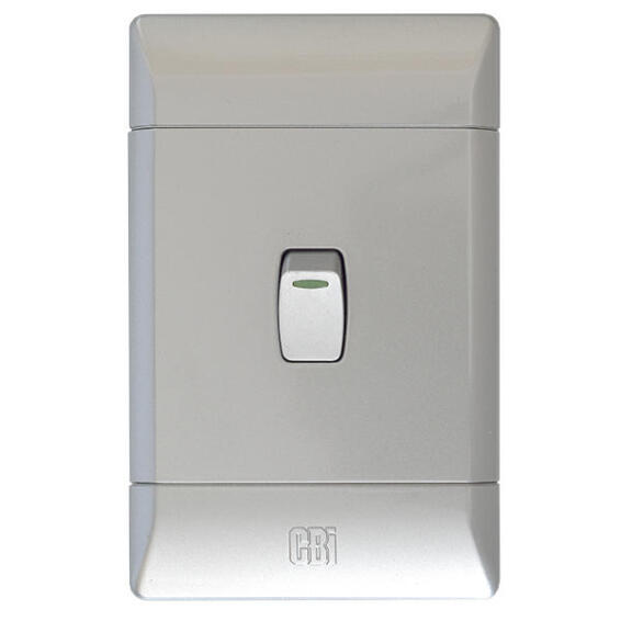 Switch CBI ELETRIC silver 1 lever 1 way 2x4