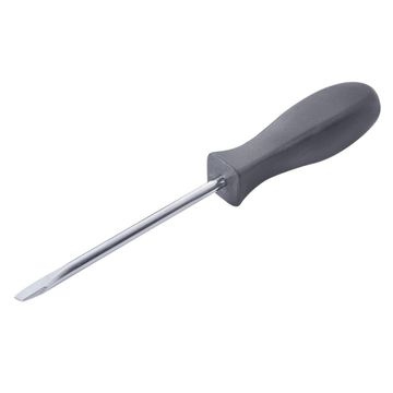Screwdriver SL 5.5x100mm