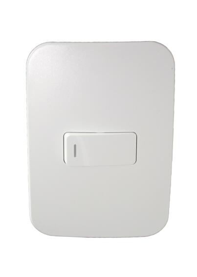 Switch VETI 1 1 lever 1 way 2x4 white