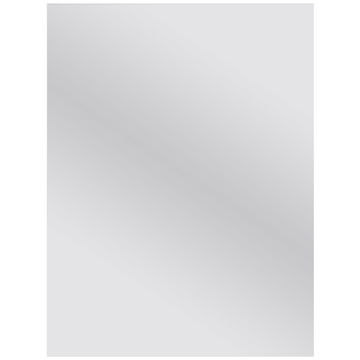 Sensea Poli Rectangular Mirror W45cmxH60cm