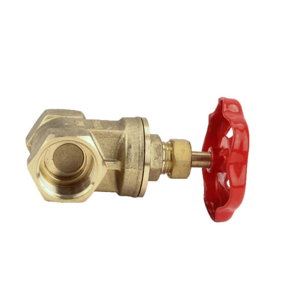 20mm Brass Gate Valve Hills Irrigation